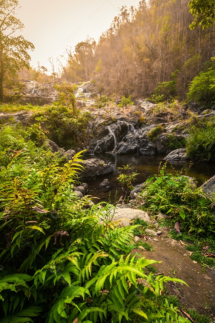 Belas cachoeiras no parque nacional klong lan da Tailândia