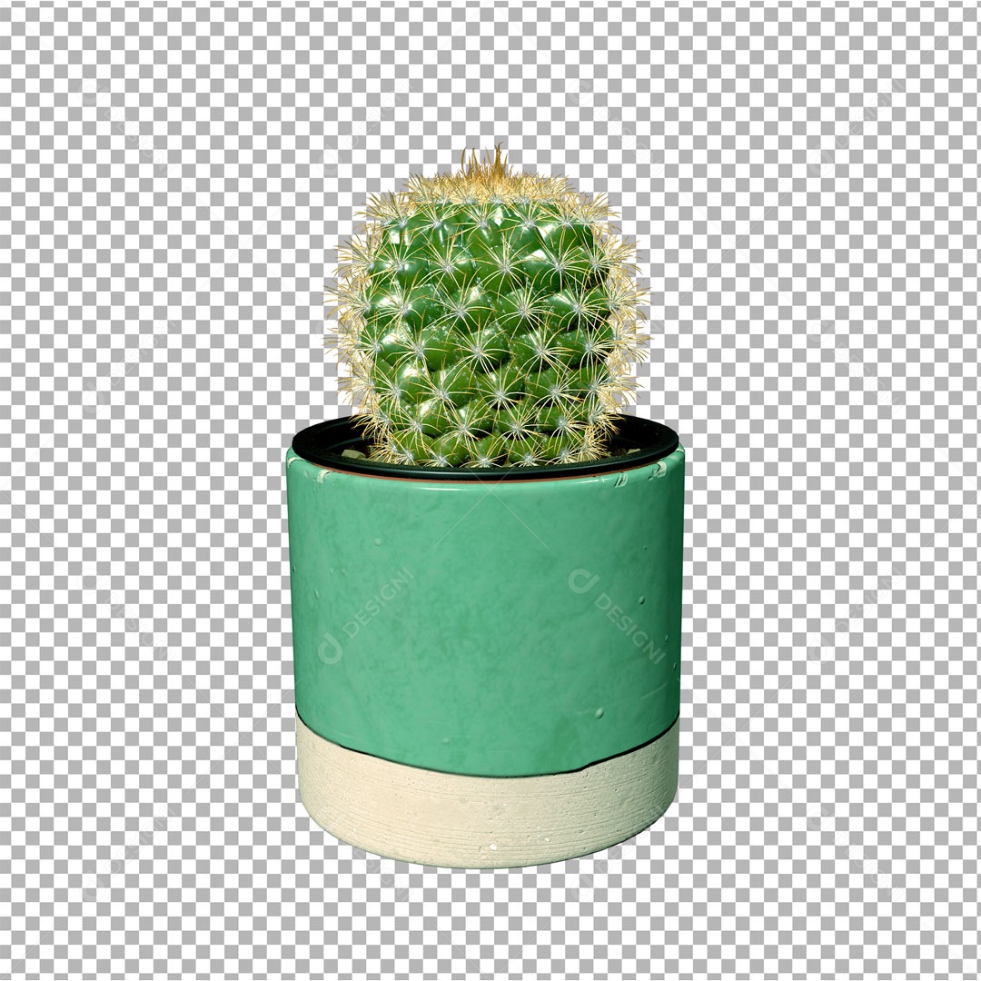 Elemento De Vazo Com Cacto Para Composição PSD