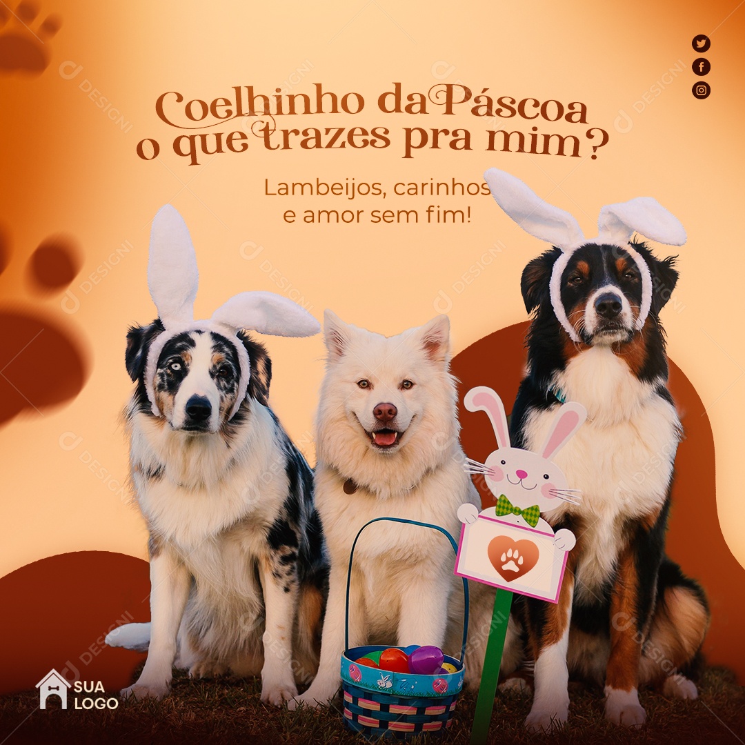 Coelhinho da Páscoa o Que Trazes Pra Mim? Lambeijos, Carinhos e Amor Sem Fim Social Media PSD Editável