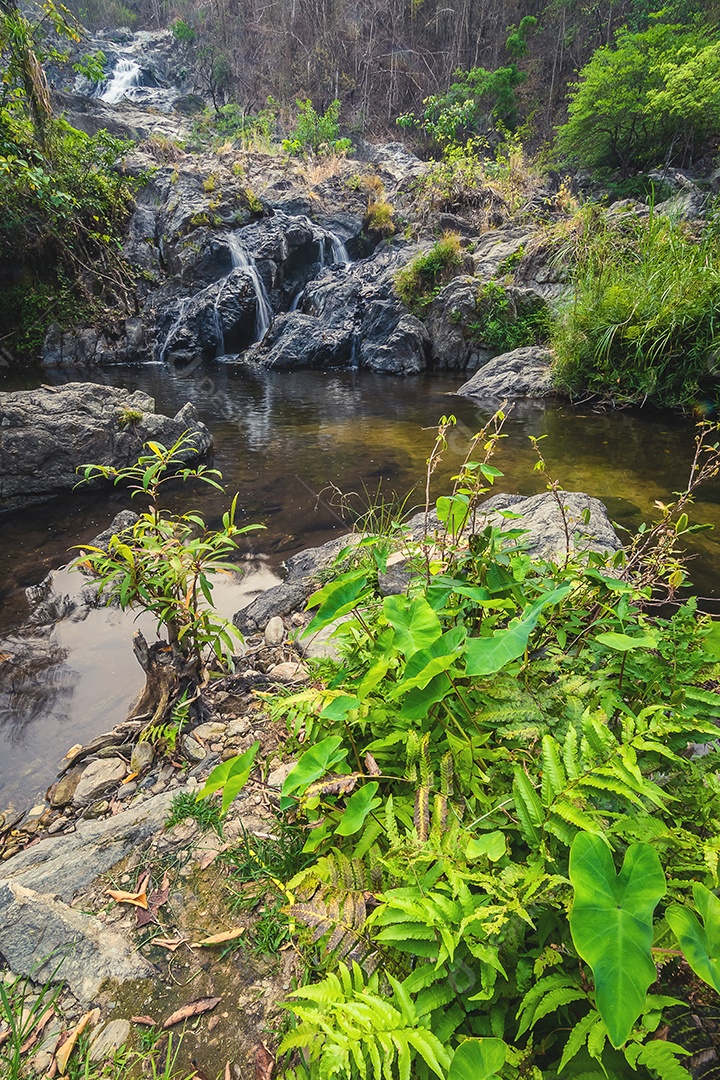 Belas cachoeiras no parque nacional klong lan da Tailândia