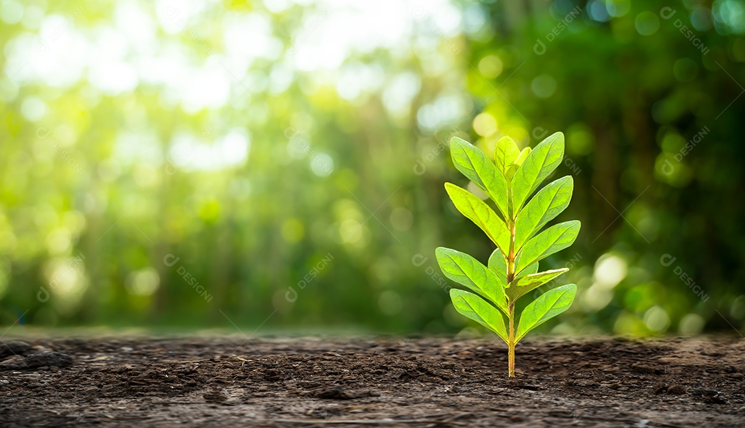Dia da Terra árvores que cultivam mudas fundo verde bokeh