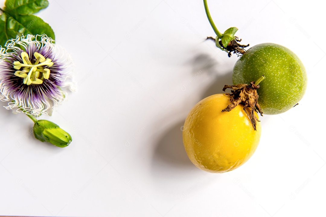 Flor, folha e fruta de maracujá no fundo branco