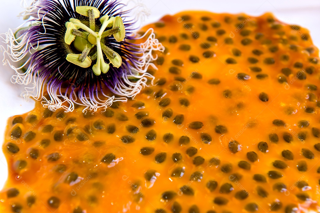 Flor de maracujá e fundo de textura de polpa de maracujá