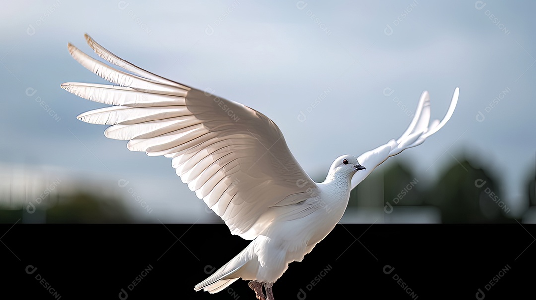 Dia Mundial da Ciência para a Paz e o Desenvolvimento 10 de novembro.