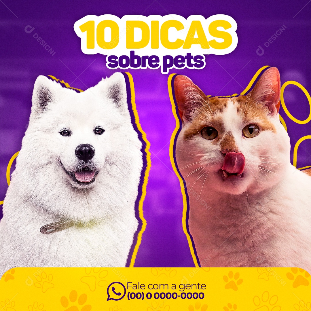 10 Dicas Sobre Pet Social Media PSD Editável