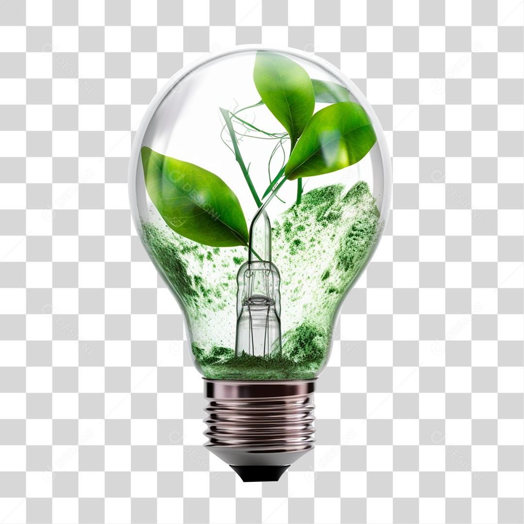Lâmpada Com Folhas PNG Transparente