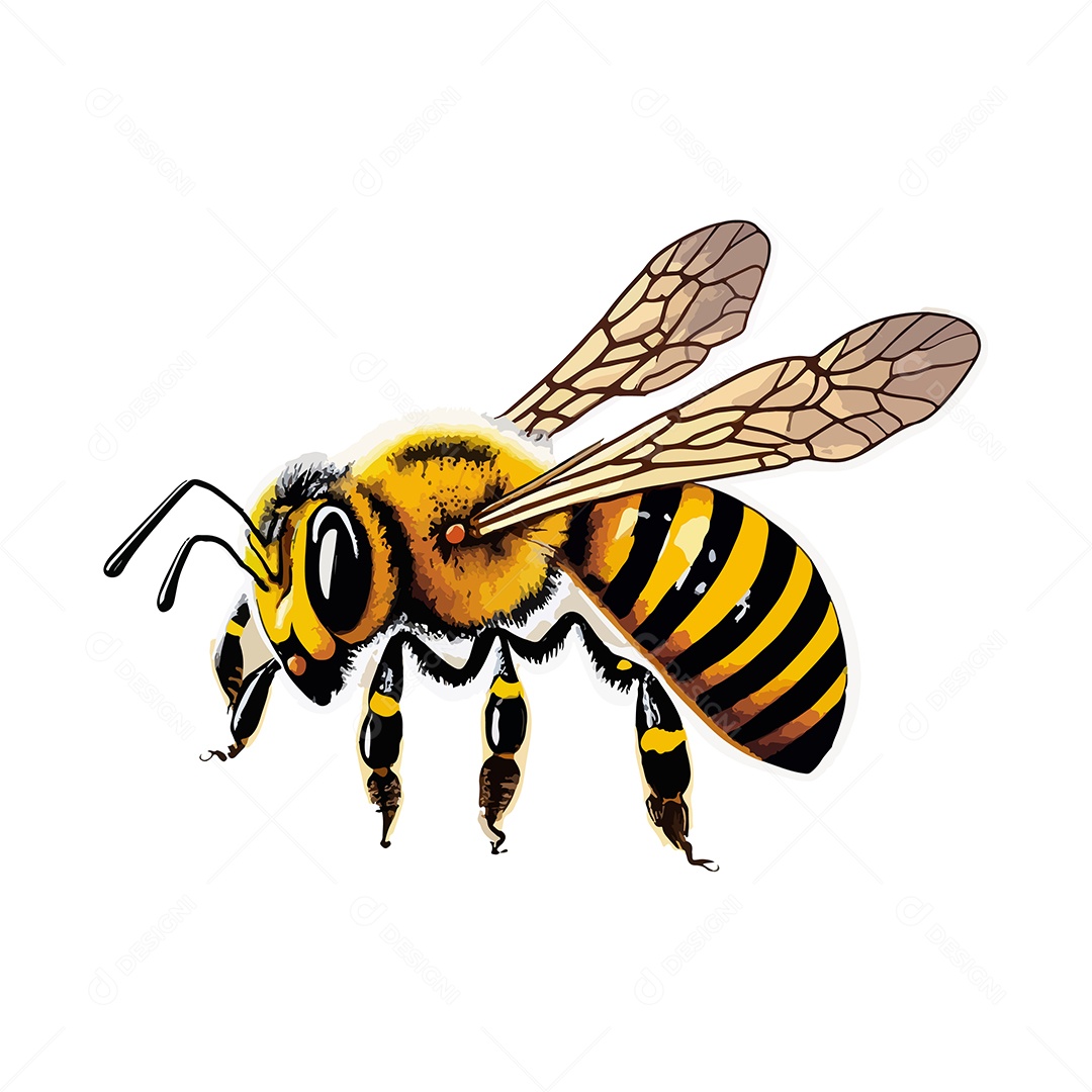 Desenho Vetorial De Ilustração De Abelha Vetor EPS