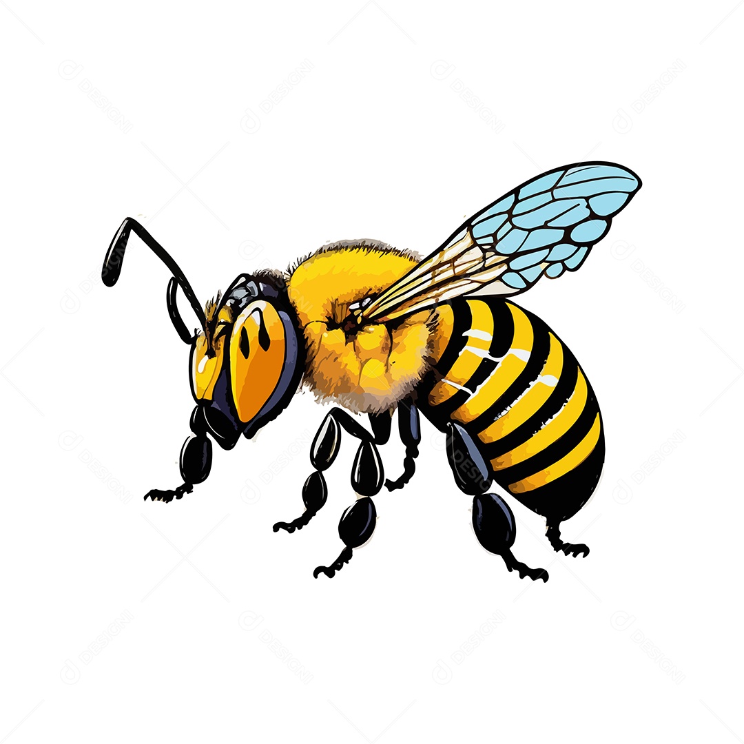 Desenho Vetorial De Ilustração De Abelha Vetor EPS
