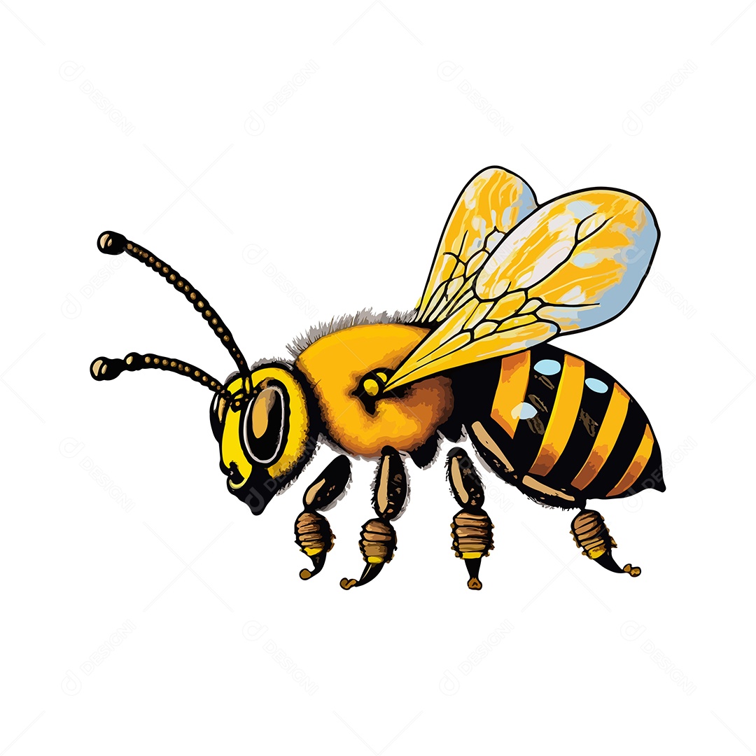 Desenho Vetorial De Ilustração De Abelha Vetor EPS