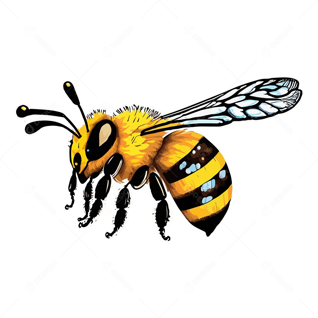 Desenho Vetorial De Ilustração De Abelha Vetor EPS