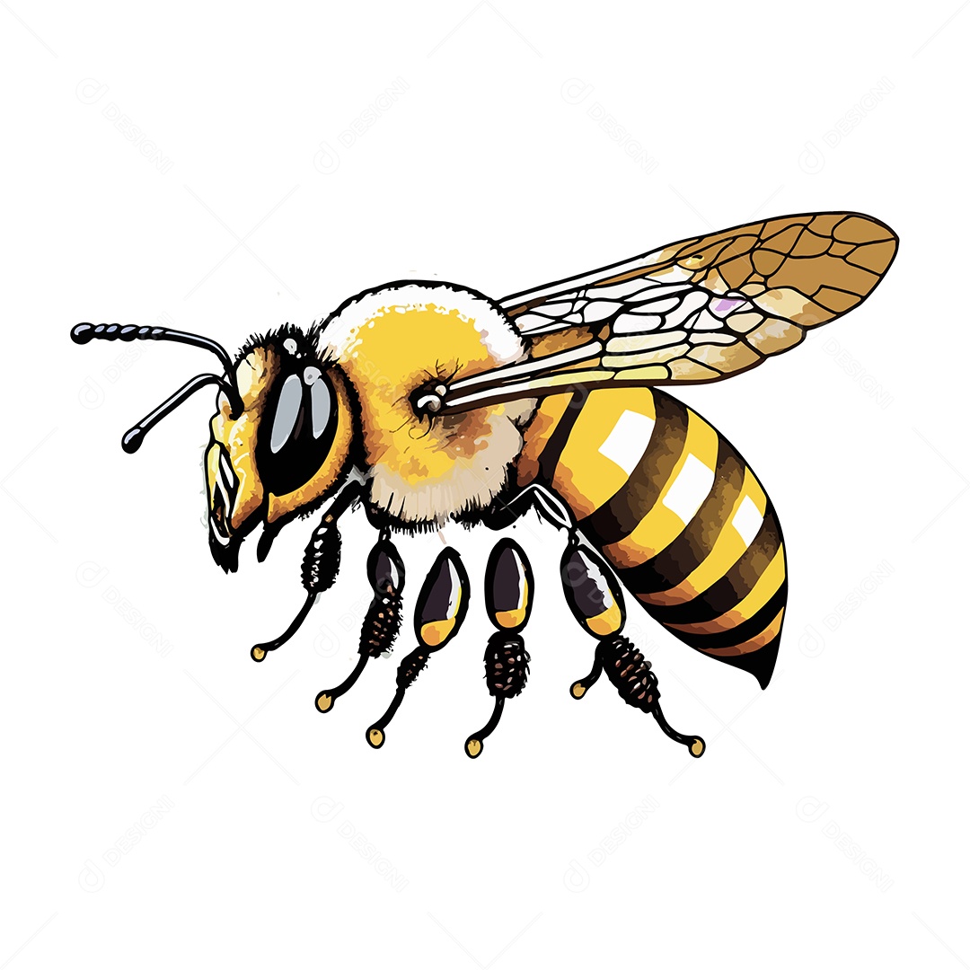 Desenho Vetorial Ilustração De Abelha Vetor EPS