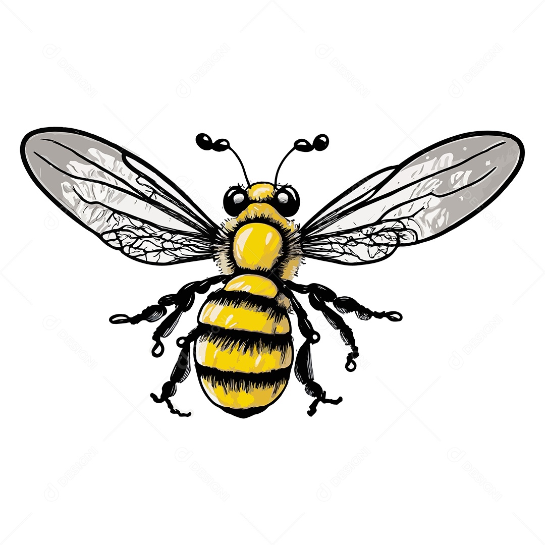 Desenho Vetorial Ilustração De Abelha Vetor EPS