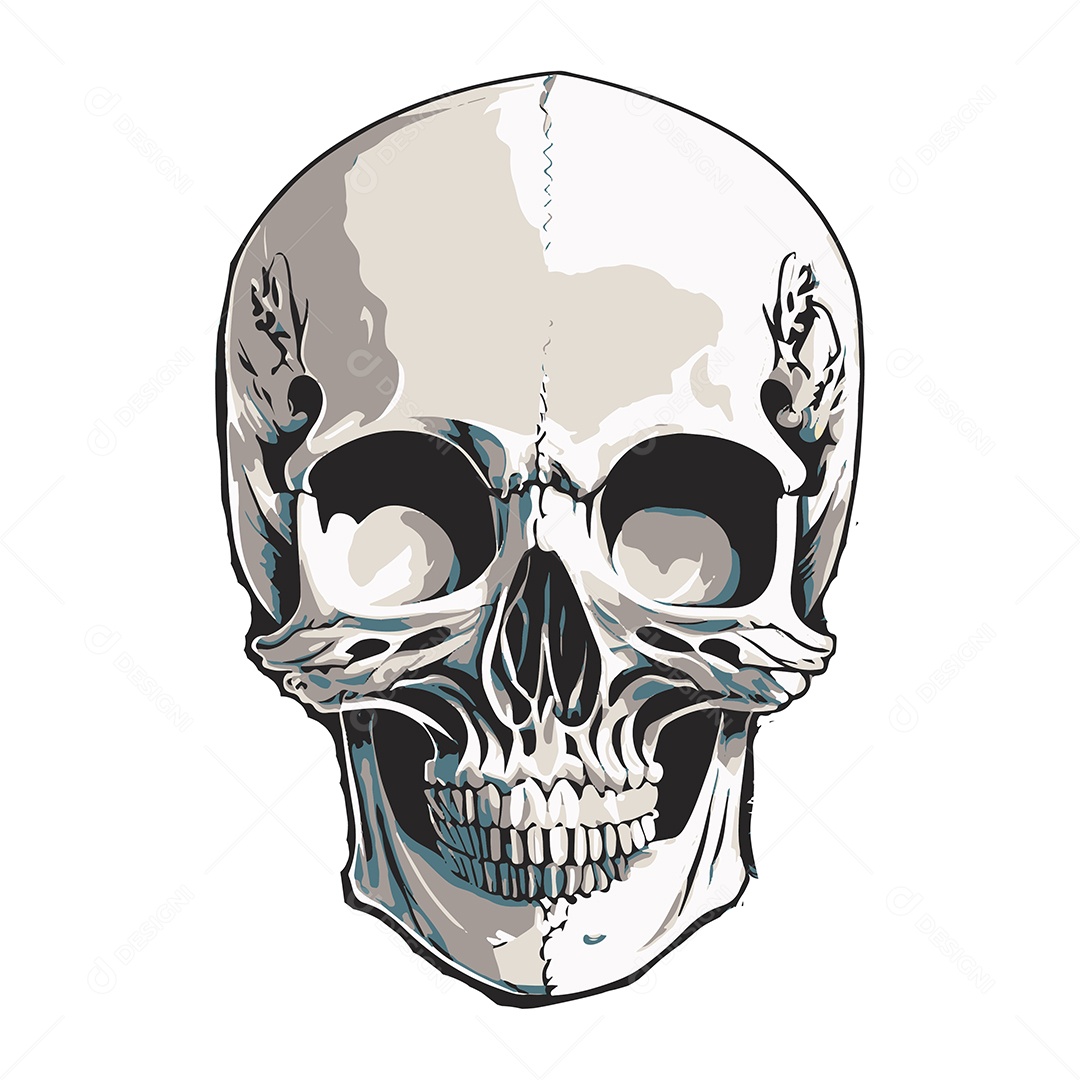 Desenho De Ilustração De Caveira Vetor EPS
