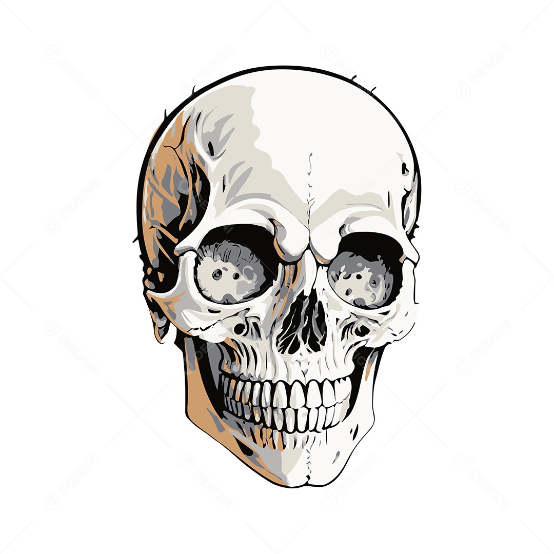 Desenho De Ilustração De Caveira Vetor EPS