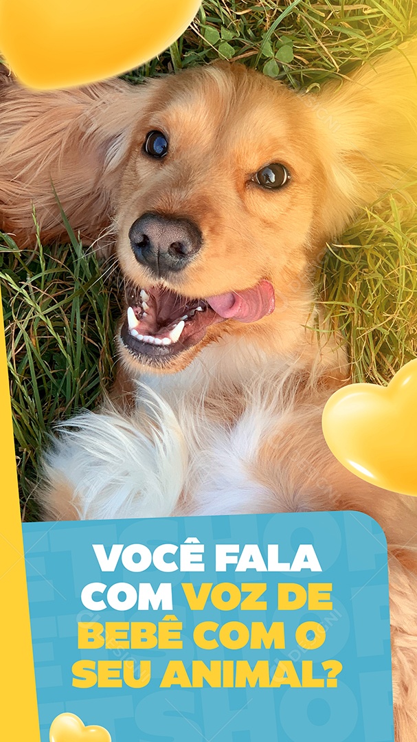 Story Você Fala Com Voz de Bebê Com o Seu Animal Social Media PSD Editável