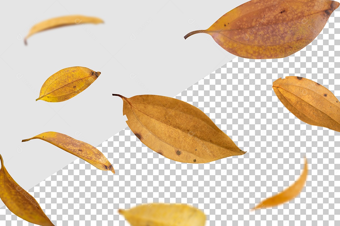 Elemento 3D Para Composição Folhas PSD