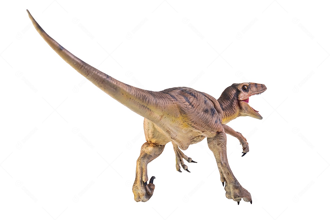 Belo dinossauro sobre fundo isolado