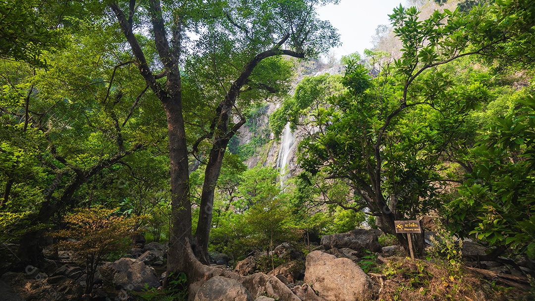 Belas cachoeiras no parque nacional klong lan da Tailândia