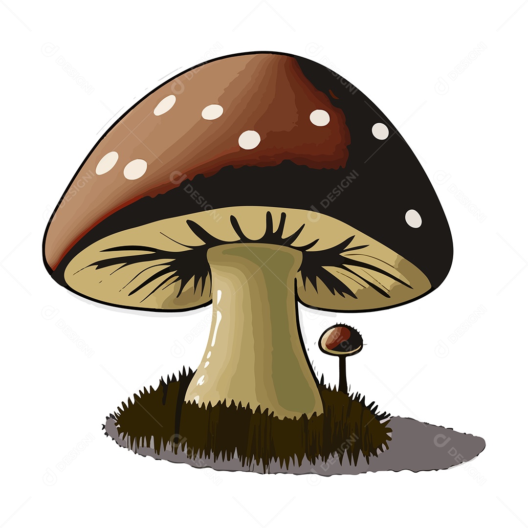 Desenho De Cogumelos Ilustração Vetorial EPS