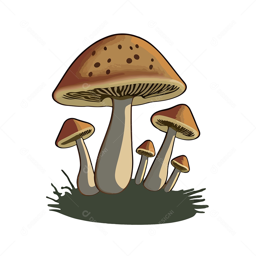 Desenho De Cogumelo Ilustração Vetorial EPS