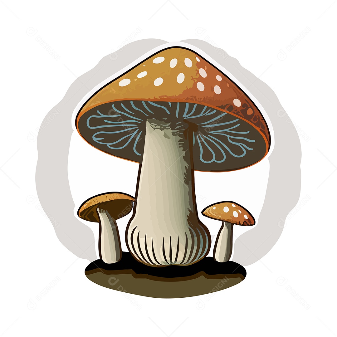 Desenho De Cogumelo Ilustração Vetorial EPS
