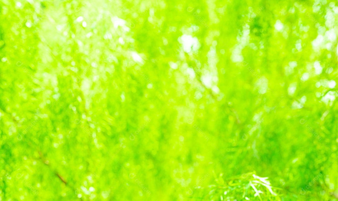 Fundo verde desfocado de planta folhas verdes de planta em fundo abstrato de jardim