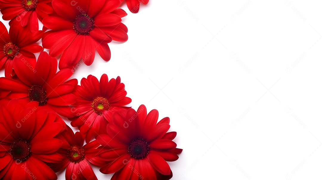 Lindas flores sobre fundo isolado