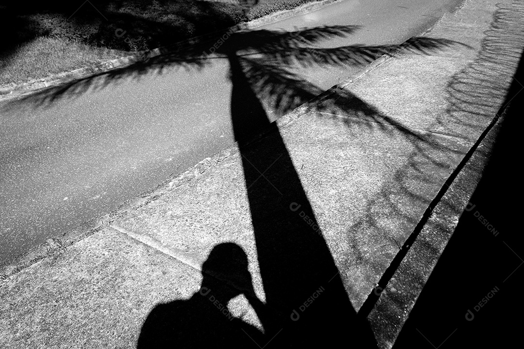 Fotografia em preto e branco da sombra de um coqueiro e fotógrafo.