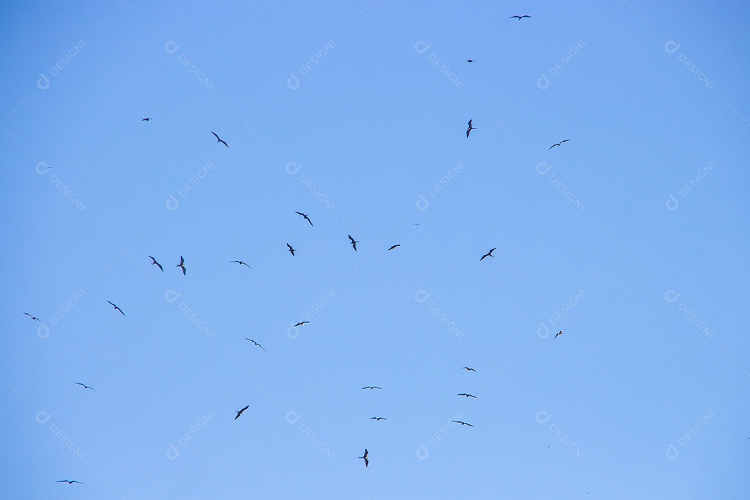 Fragata em um lindo céu azul no Rio de Janeiro, Brasil.