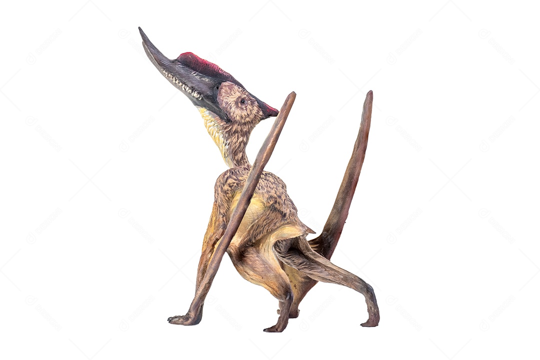 Belo dinossauro sobre fundo isolado