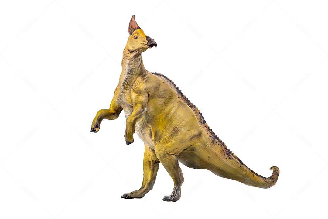 Belo dinossauro sobre fundo isolado