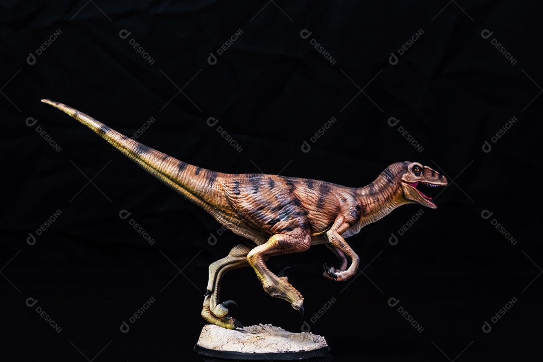 Belo dinossauro sobre fundo isolado