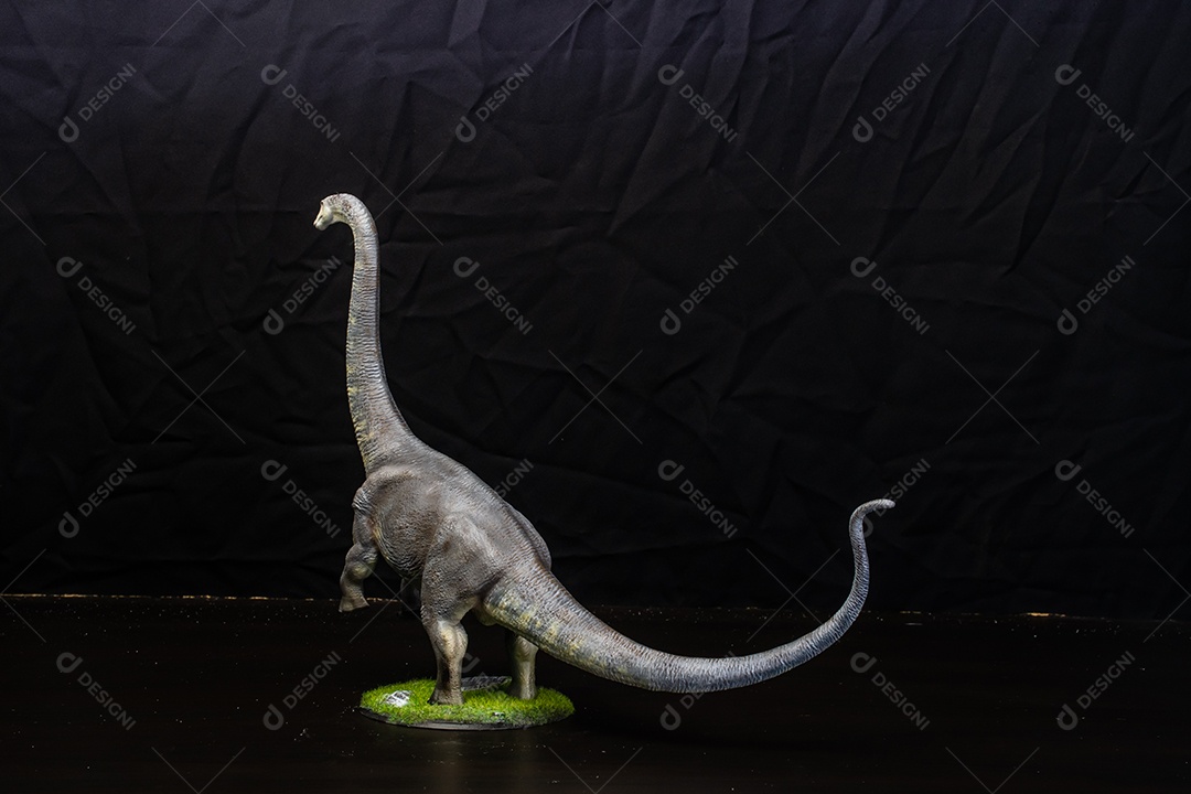 Belo dinossauro sobre fundo isolado