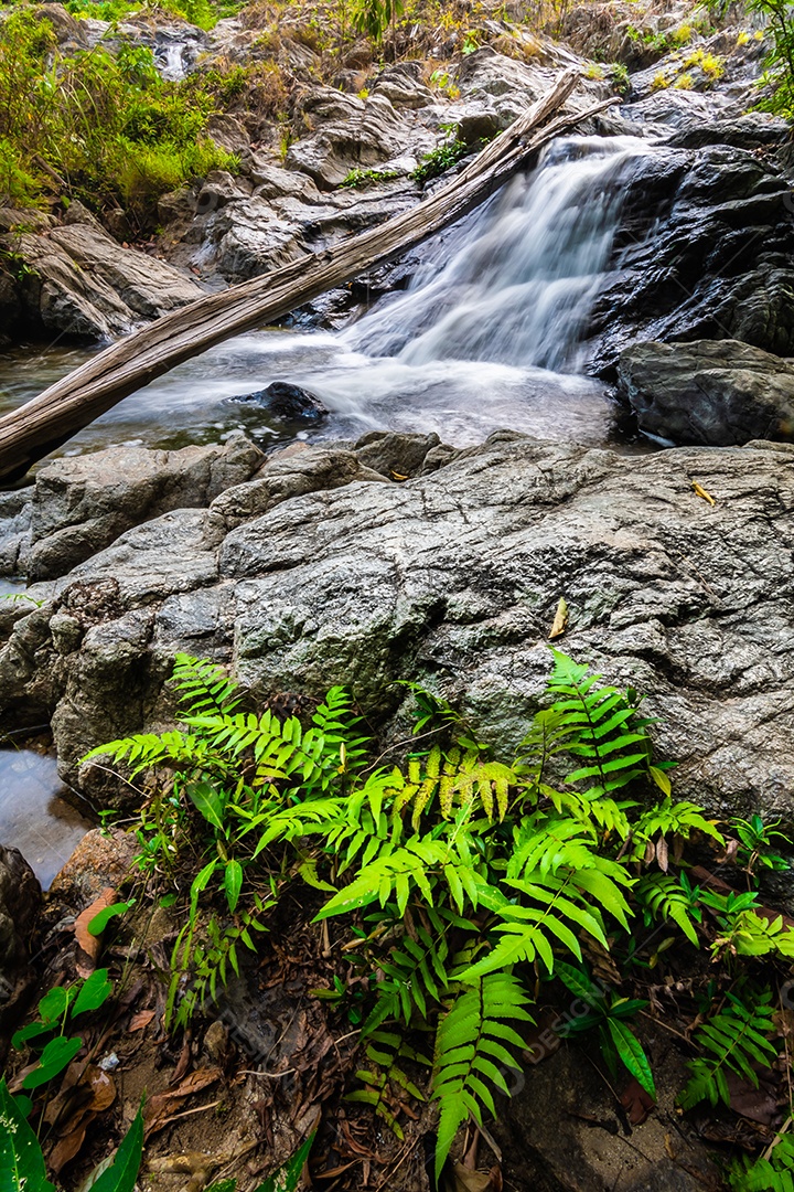 Belas cachoeiras no parque nacional klong lan da Tailândia
