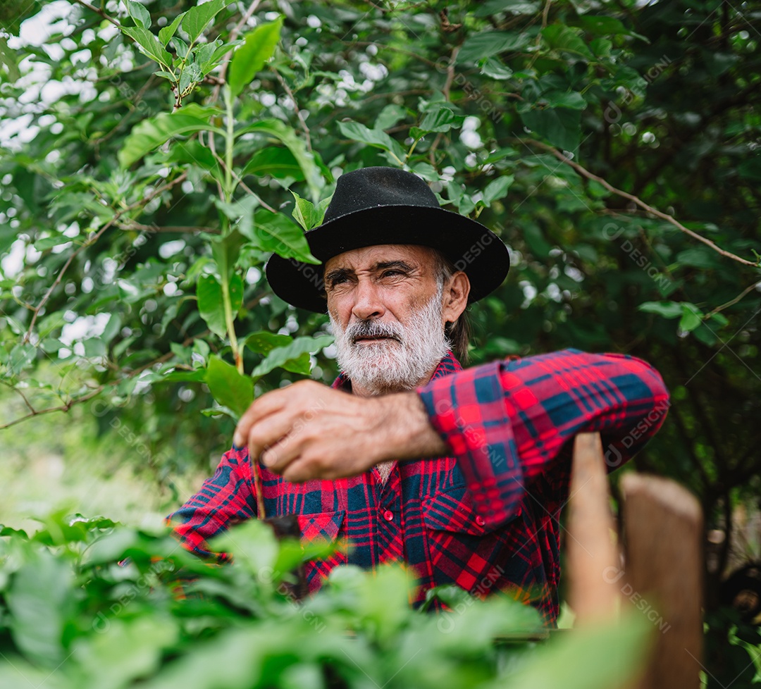 Retrato do agricultor brasileiro na camisa casual na fazenda