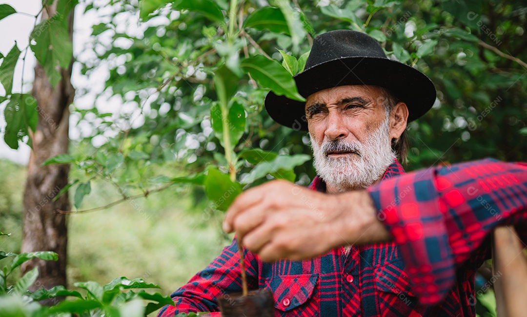 Retrato do agricultor brasileiro na camisa casual na fazenda