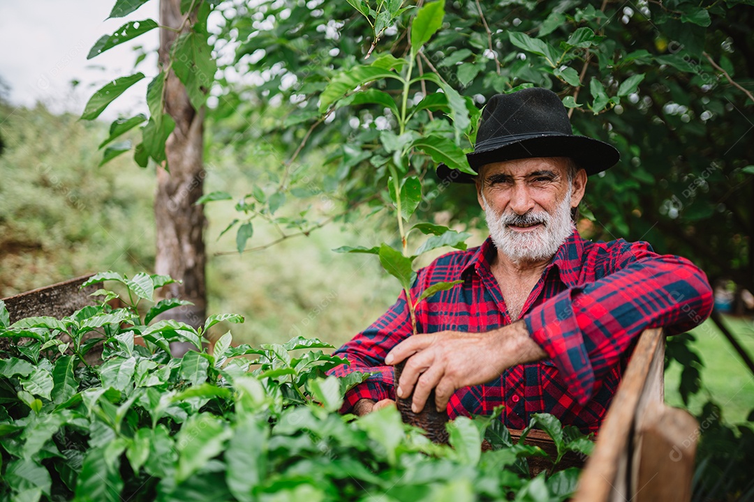 Retrato do agricultor brasileiro na camisa casual na fazenda