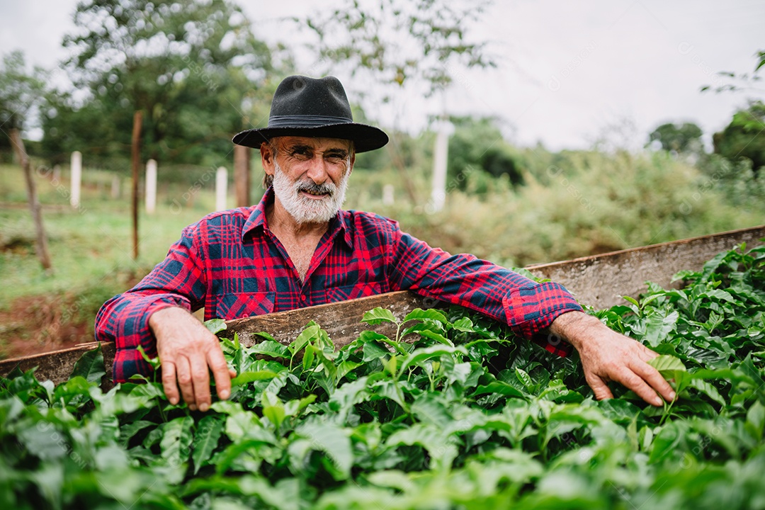 Retrato do agricultor brasileiro na camisa casual na fazenda