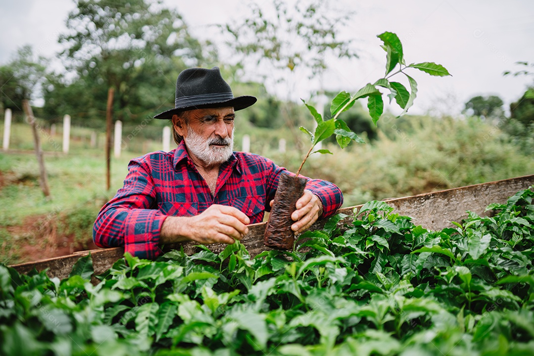Retrato do agricultor brasileiro na camisa casual na fazenda