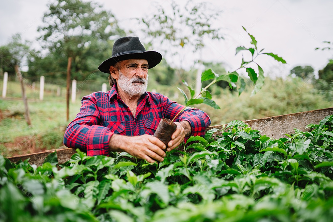 Retrato do agricultor brasileiro na camisa casual na fazenda