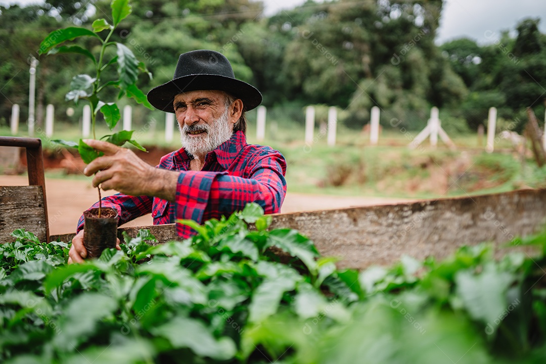 Retrato do agricultor brasileiro na camisa casual na fazenda