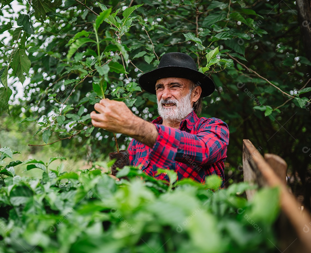 Retrato do agricultor brasileiro na camisa casual na fazenda