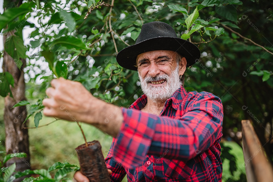 Retrato do agricultor brasileiro na camisa casual na fazenda