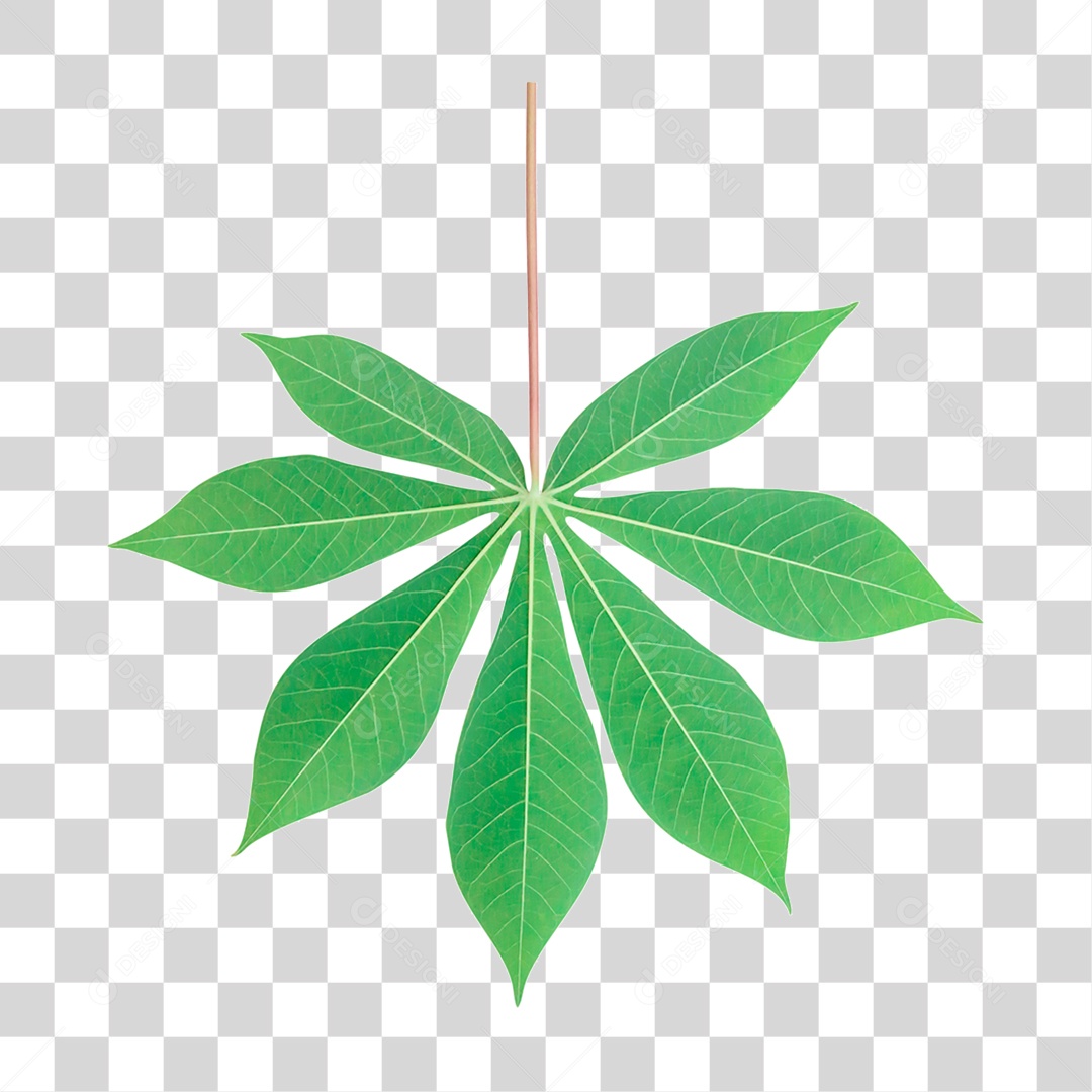 Folha Verde PNG Transparente