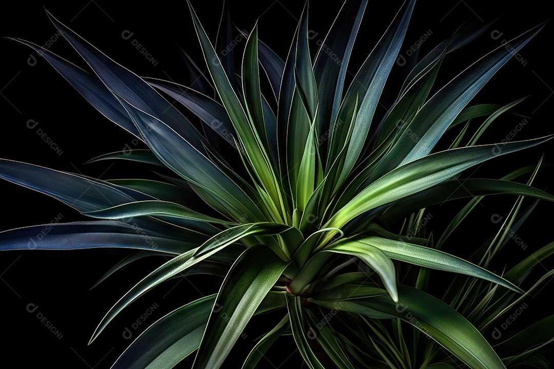 Fotografias temáticas botânicas para decoração de ambientes com fotos de plantas