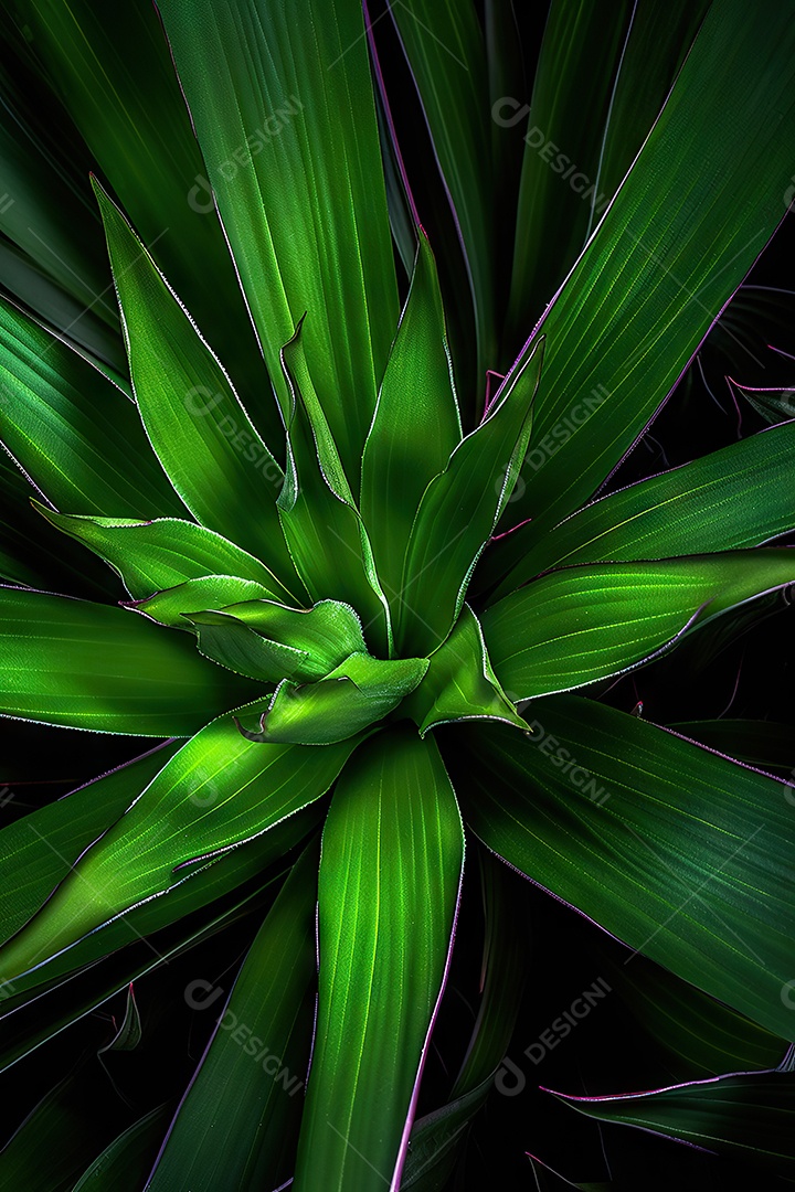 Fotografias temáticas botânicas para decoração de ambientes com fotos de plantas