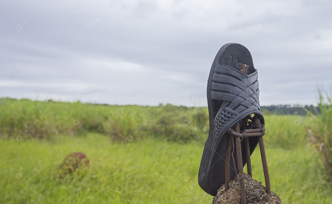 Chinelo deixado em cima do muro com vegetação ao fundo em um dia nublado, conceito de poluição da natureza.