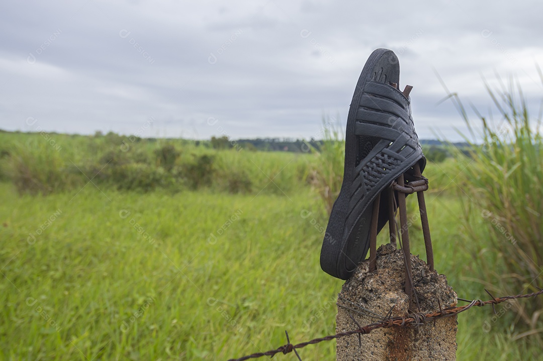 Chinelo deixado em cima do muro com vegetação ao fundo em um dia nublado, conceito de poluição da natureza.