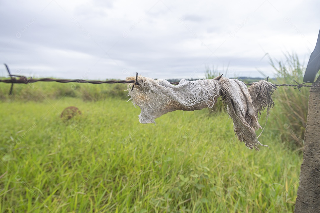 Pano velho preso em uma cerca com vegetação ao fundo em um dia nublado, conceito de poluição da natureza.