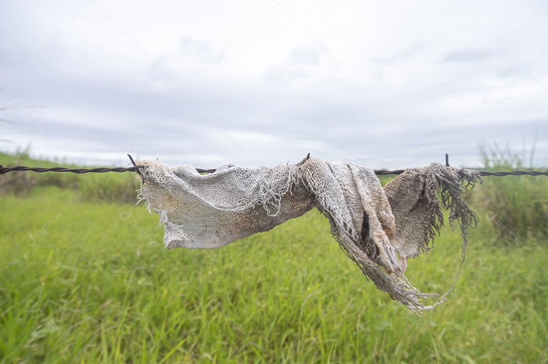 Pano velho preso em uma cerca com vegetação ao fundo em um dia nublado, conceito de poluição da natureza.
